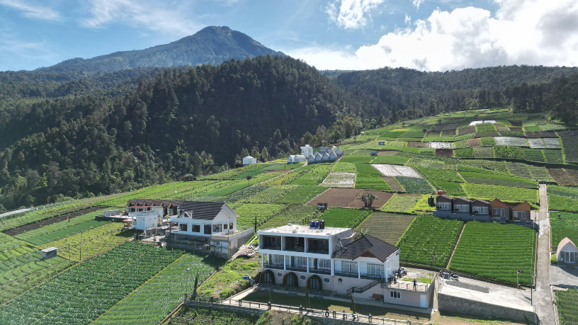 Para Aldo Vendramin, a sustentabilidade rural começa com manejo inteligente, solo saudável e decisões técnicas baseadas em dados.